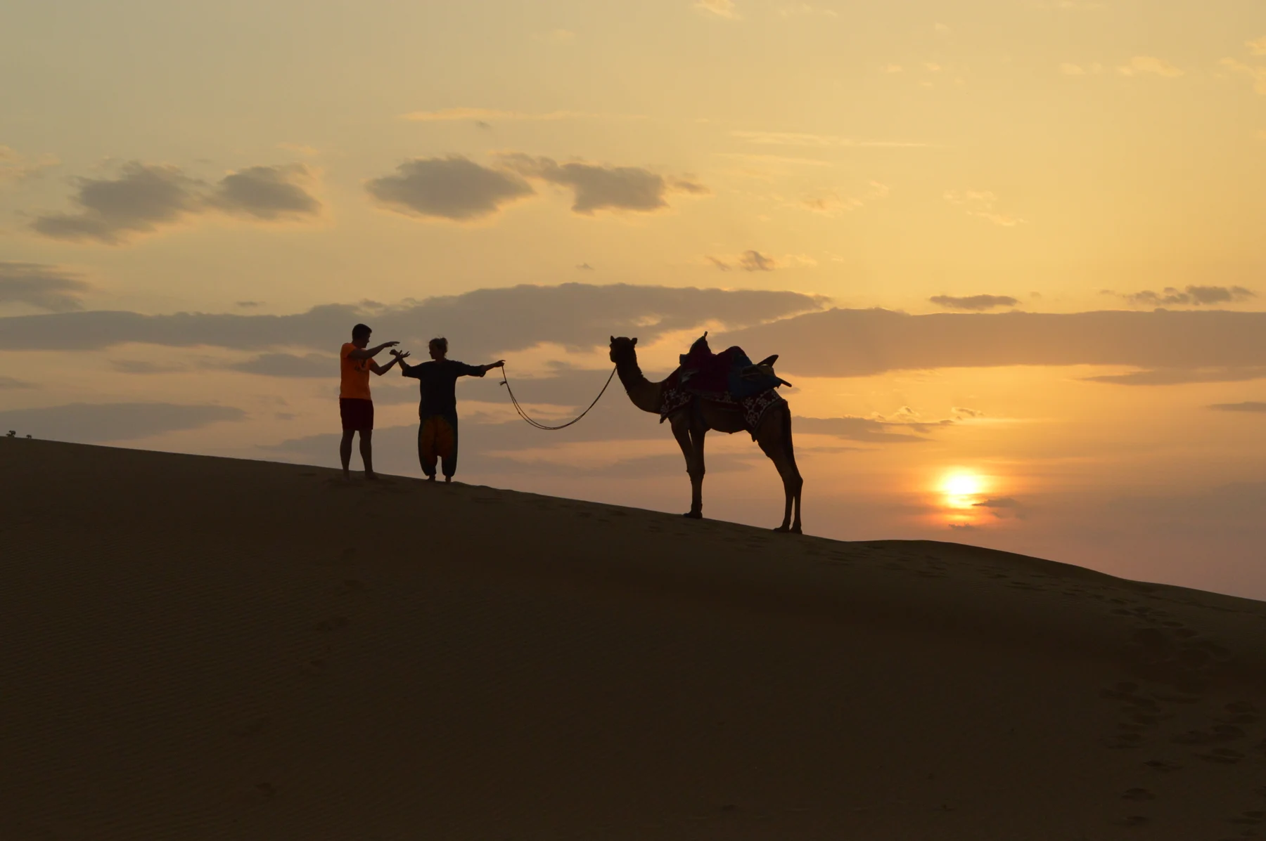 A Night in the Thar